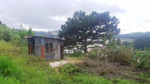 UBND Thành phố Đà Lạt bị tố vi phạm quy trình cấp sổ đỏ