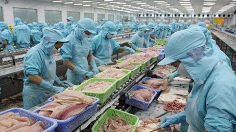 Kiến nghị giảm 50% thuế thu nhập cho doanh nghiệp thủy sản do dịch Covid-19