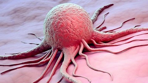 Giáo sư hàng đầu Việt Nam bày cách ăn 