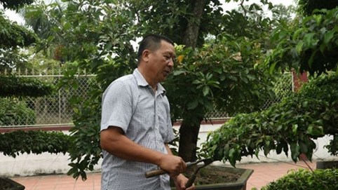 Lão nông trở thành tỷ phú nhờ chăm cây
