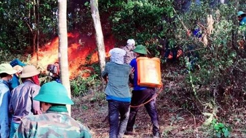 Nóng 24h qua: Khó xử lý người hút thuốc lá làm cháy rừng ở Nghệ An