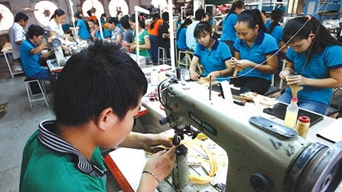 Chính phủ đề xuất giảm 50% thuế thu nhập doanh nghiệp nhỏ và vừa