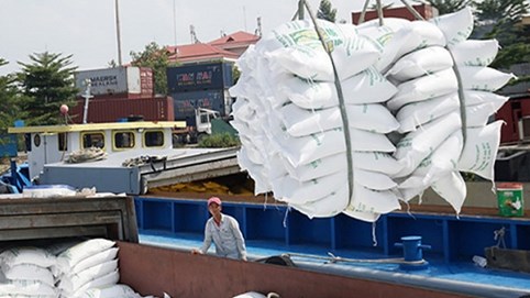 Bộ Công Thương muốn Bộ Tài chính cho ý kiến về xuất khẩu gạo