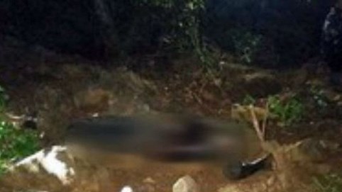 Thi thể người đàn ông không nguyên vẹn nghi bị lợn rừng xâm hại