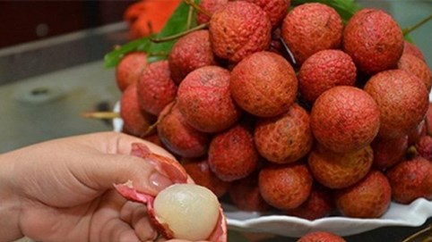 Bộ Y tế nói về trái cây gây nồng độ cồn khi CSGT kiểm tra