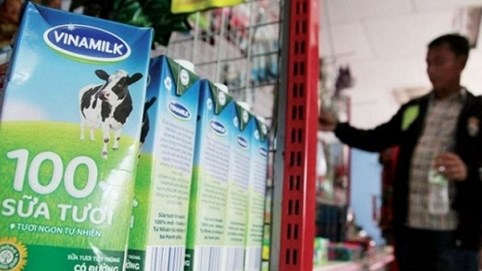 Hai đại gia châu Á lại tranh mua cổ phiếu Vinamilk