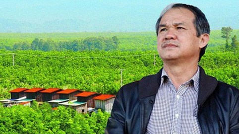 Sau thương vụ với Thaco, công ty nông nghiệp của bầu Đức tiếp tục được Hưng Thắng Lợi Gia Lai mua thêm lượng cổ phiếu trị giá hơn 570 tỉ đồng