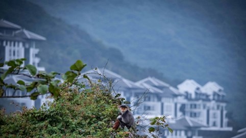 Vũ khí quan trọng nhất bảo vệ môi trường tại Việt Nam là gì?