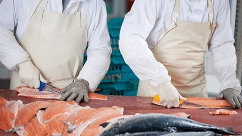 Trung Quốc tẩy chay cá hồi châu Âu vì nghi là nguồn lây Covid-19