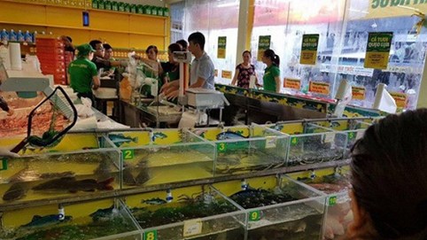 Bách Hóa Xanh vừa có tháng mở rộng mạnh nhất từ trước đến nay, tiêu thụ 6.000 tấn hàng tươi sống trong 1 tháng