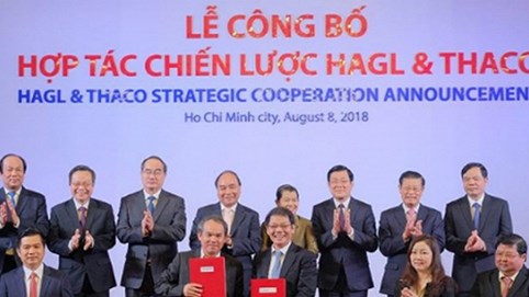 Bầu Đức làm gì với khoản tiền nghìn tỷ nhận của Thaco?