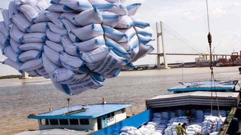 Tạm dừng xuất khẩu gạo từ 24/3