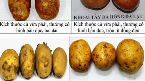 Bộ Công thương lên tiếng về nông sản “đội lốt” hàng Việt