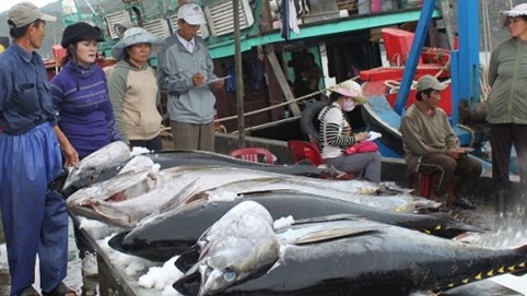 Bộ Nông nghiệp mở lối cho 50 container bị tắc ở cảng hơn nửa tháng