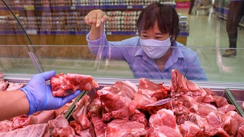 Bộ trưởng Nguyễn Xuân Cường: Nếu heo đắt quá thì chuyển ăn thịt gà, tôm, cá