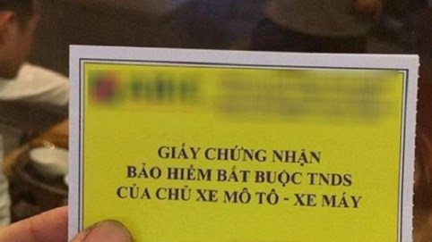 Doanh nghiệp thu gần 3.600 tỷ bán bảo hiểm xe trong 2019