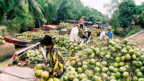 Vừa mua xong công ty mía đường, Vinamilk tiếp tục đầu tư vào doanh nghiệp chế biến dừa Bến Tre