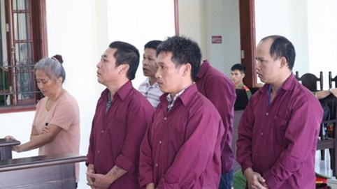 Nhóm lừa đảo kiểu đa cấp lãnh án 50 năm tù