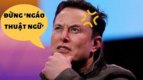Elon Musk cũng ngán ngẩm tình trạng 