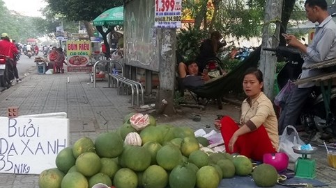 Bưởi da xanh giá rẻ chất đống bán vỉa hè Sài Gòn