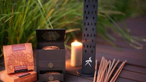 Cây hoàng kim của rừng xanh (kỳ 2): Đàn hương - cây gỗ thiêng 5.000 năm tuổi