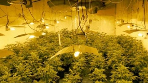 Lý do nhà nhà kéo nhau sang Anh ‘đổi đời’