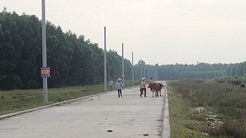 Điều tra 27 dự án bất động sản 'tự vẽ' của Alibaba