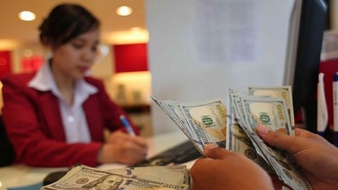 Chuyên gia: Tỷ giá biến động mạnh, NHNN cần siết chặt hơn nữa việc cho vay ngoại tệ