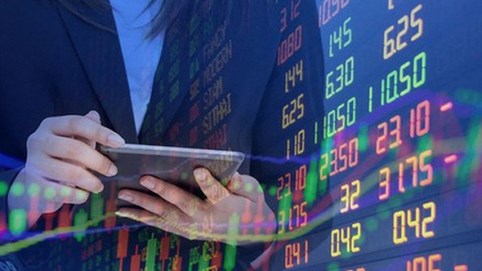 Cổ phiếu Sông Đà 19 tăng 80% lên 900 đồng, Chủ tịch công ty muốn thoái sạch vốn