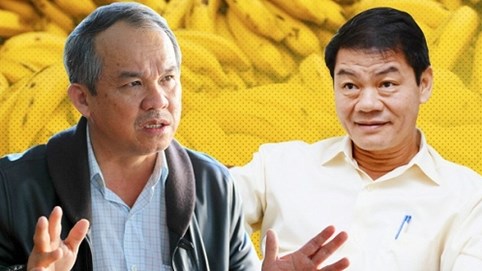 Sau khi bắt tay với bầu Đức, Thaco chính thức tuyển dụng sếp kinh doanh trái cây