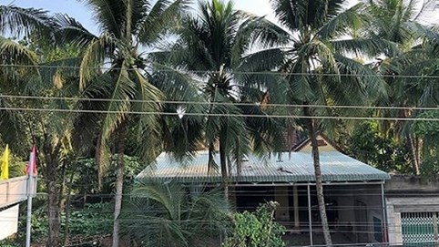 Bước đường cùng của bà lão đẩy lùi ba cuộc cưỡng chế