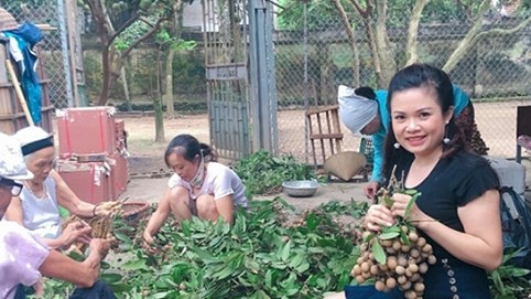 Đạt tiêu chuẩn ATTP, nhãn chín muộn Đại Thành vươn ra thị trường nước ngoài