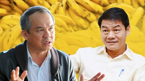 Đầu tư và tái cơ cấu nợ cả tỷ USD vào HAGL, Thaco muốn gì?