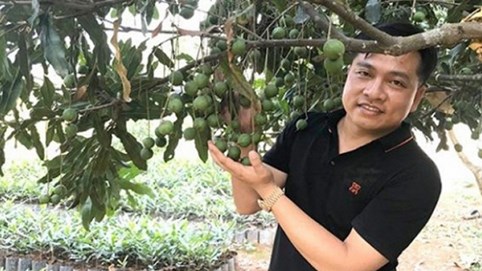 'Cuộc hôn nhân' giữa 'vương mộc' và 'nữ hoàng các loại hạt'