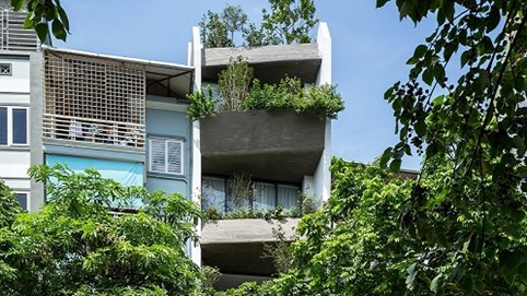 Ngôi nhà 49m2 nổi bật giữa phố cổ Hà Nội nhờ kiến trúc xanh mướt độc đáo