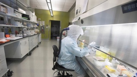 Virus Corona: Hy vọng có vaccine trong thời gian ngắn