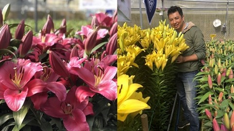 Khách VIP săn hoa lạ chơi tết, giá khủng 80 triệu đồng/bình