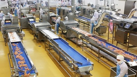 Lo sợ đứt gãy chuỗi cung ứng, doanh nghiệp thực phẩm khắp thế giới cuống cuồng tìm lối thoát