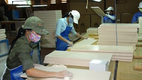 Doanh nghiệp Việt lặng lẽ... chết