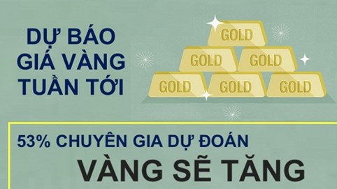 Dự báo giá vàng tuần mới: 53% chuyên gia dự đoán sẽ tăng