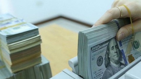Dự trữ ngoại hối nhà nước đạt khoảng 60 tỷ USD