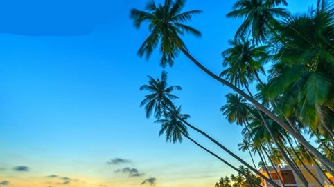 Thị trường bất động sản du lịch nghỉ dưỡng Mũi Né 