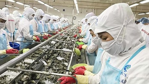 CPTPP vẫn còn nhiều thách thức