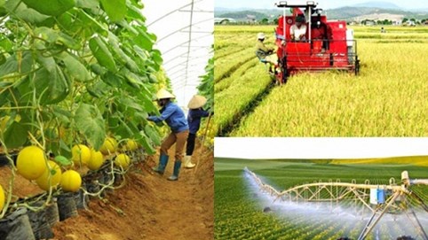 Tích tụ đất nông nghiệp để sản xuất hàng hóa: Cần hoàn thiện hành lang pháp lý