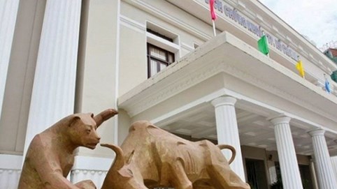 Thị phần môi giới cổ phiếu sàn HoSE nửa đầu năm 2019: SSI tiếp tục dẫn đầu, MAS bất ngờ lọt top 10