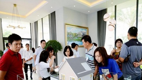 Số lượng người giàu của Việt Nam đang tăng chóng mặt