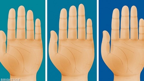 Đọc vị người đối diện qua đôi bàn tay: ai là nhà lãnh đạo bẩm sinh lộ ra hết