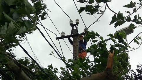 EVNCPC khẩn trương khôi phục cấp điện trở lại sau cơn bão số 12