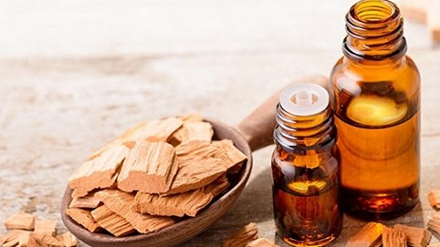 Vạn vật trở nên trầm lắng trước hương thơm thánh thiện của đàn hương