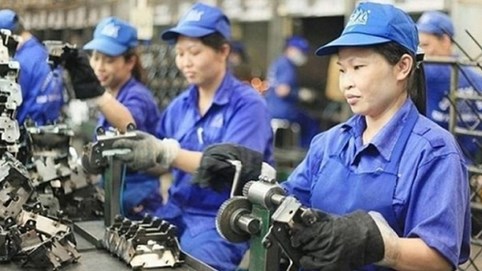 Chỉ nên tăng giờ làm thêm cho những ngành nghề đặc biệt?